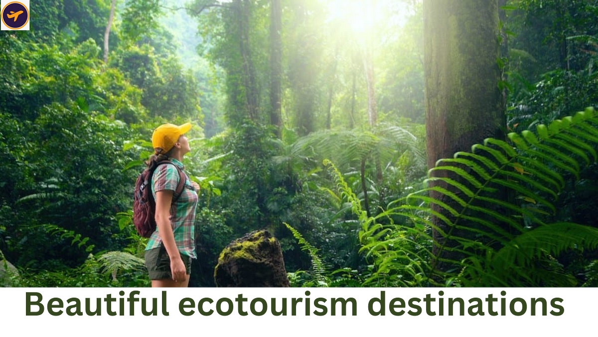 Why Don't We Visit Jungle? - Ecotourism World