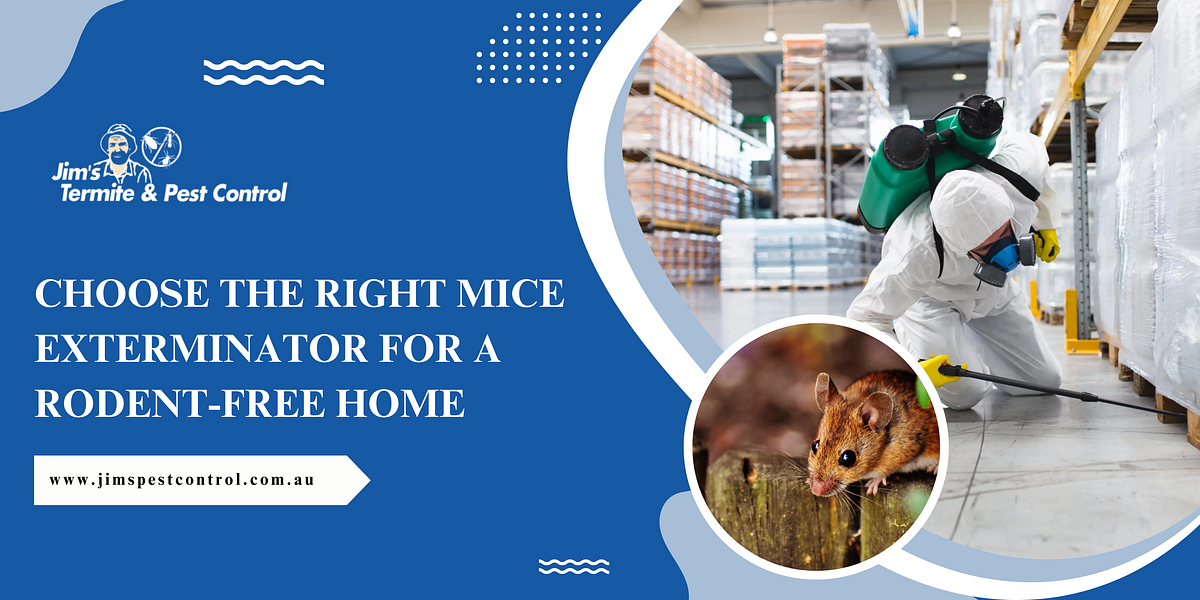 Choose the Right Mice Exterminator for a RodentFree Home by Jim’s