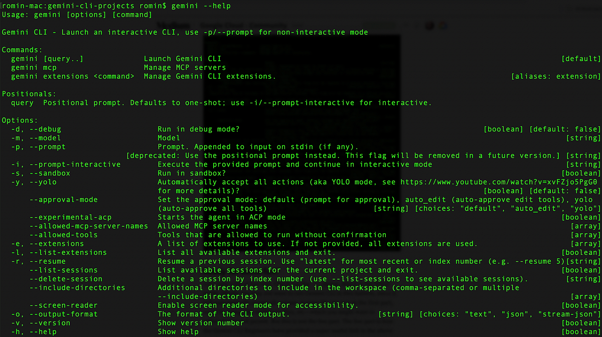 Gemini CLI Tutorial Series — Part 2 : Gemini CLI Command line