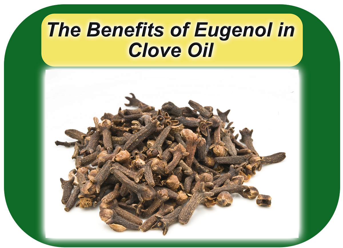 The Benefits of Eugenol in Clove Oil by Celeste Wilson The DIY