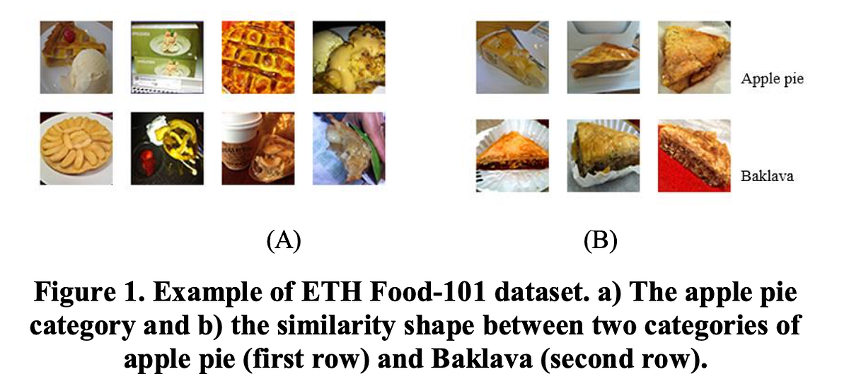 Food Image Classification with Improved Architecture and Data