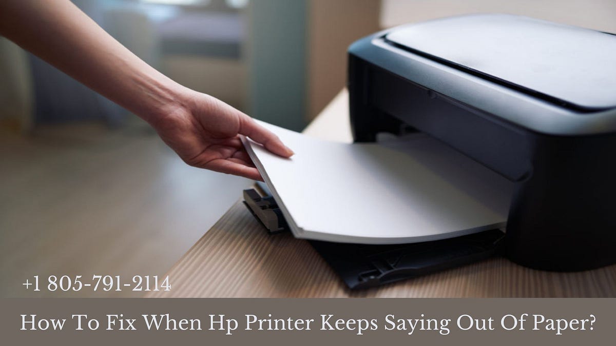 Hp Printer Says Out Of Paper But Has Paper? Reach 1-8057912114 Anytime