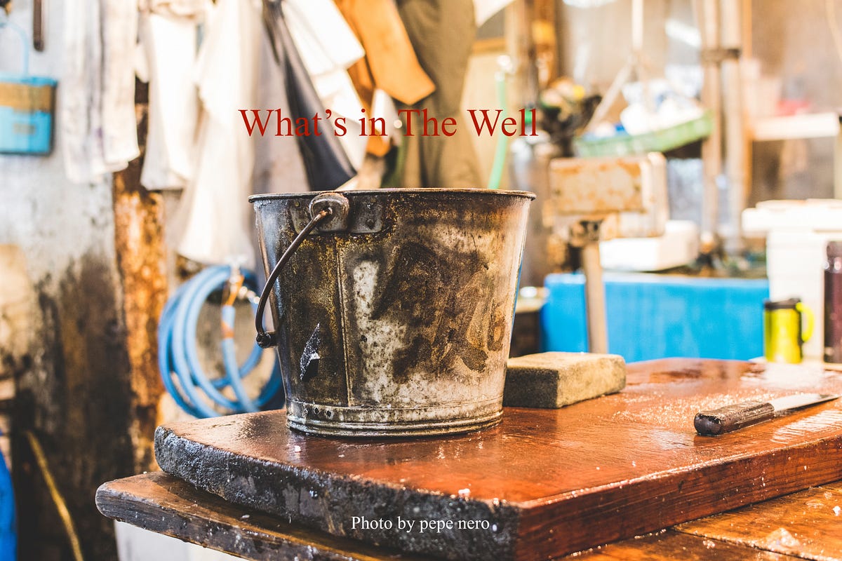 What’s in the Well Comes up in the Bucket by Deb Sofield Public Speaker Medium