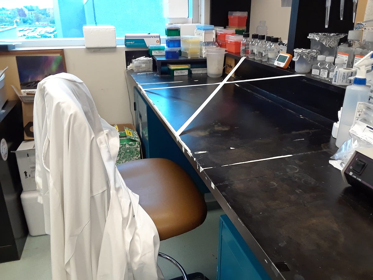 The effects of COVID19 on labbased research programs and future