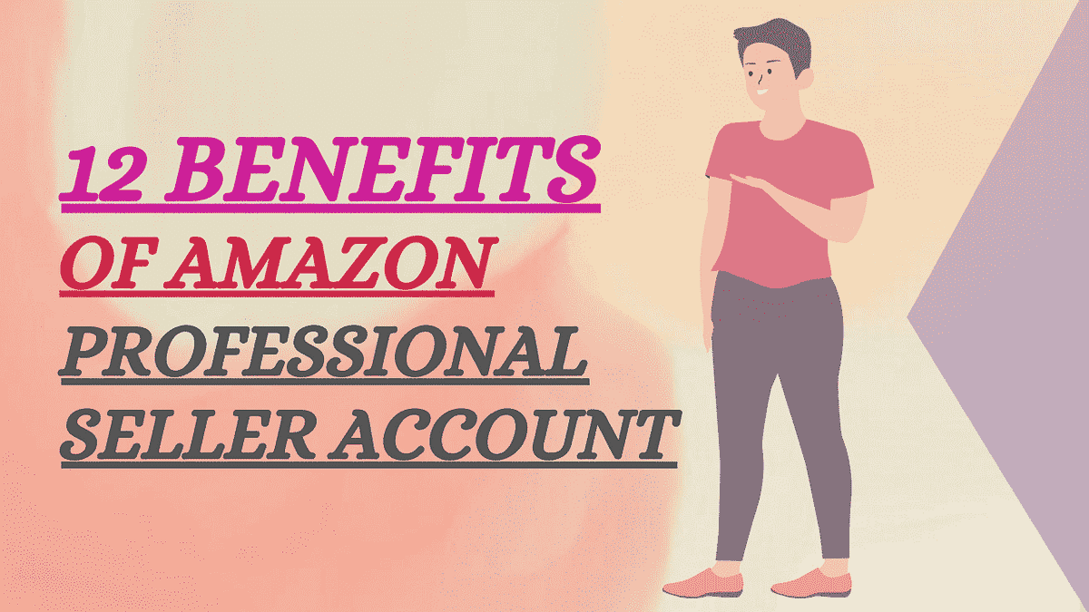 12 Benefits of amazon professional seller account by Faisalbhai Nov