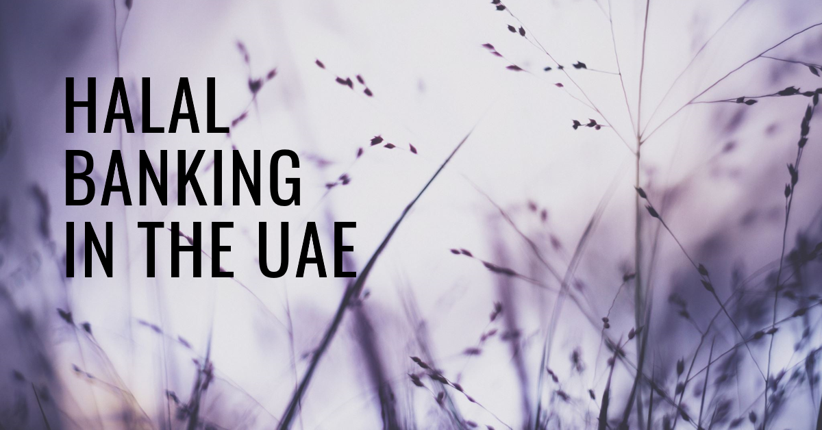 Unveiling the Excellence of Halal Banking in Dubai, UAE with NBF