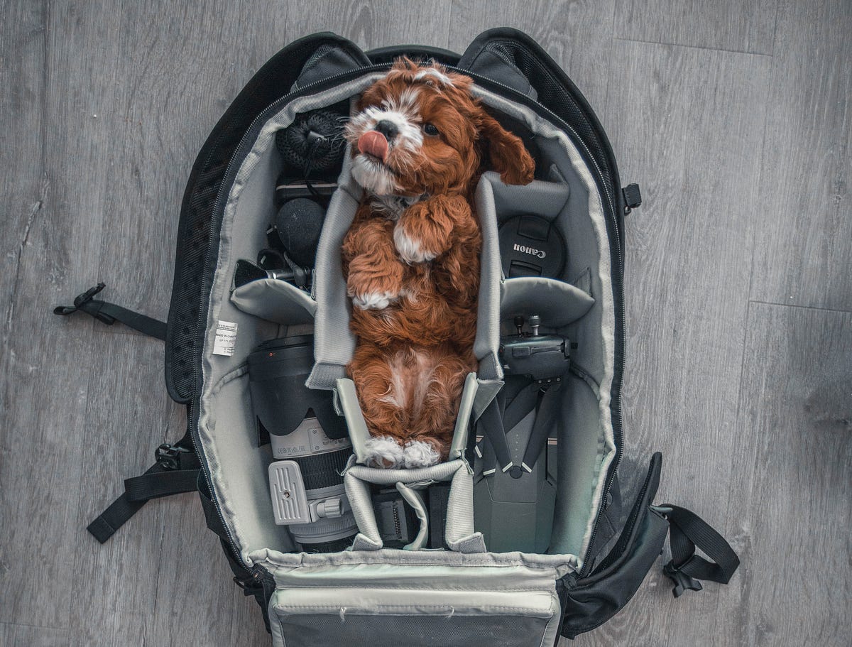 The Best Videographer Starter Kit by Shuttershare Medium