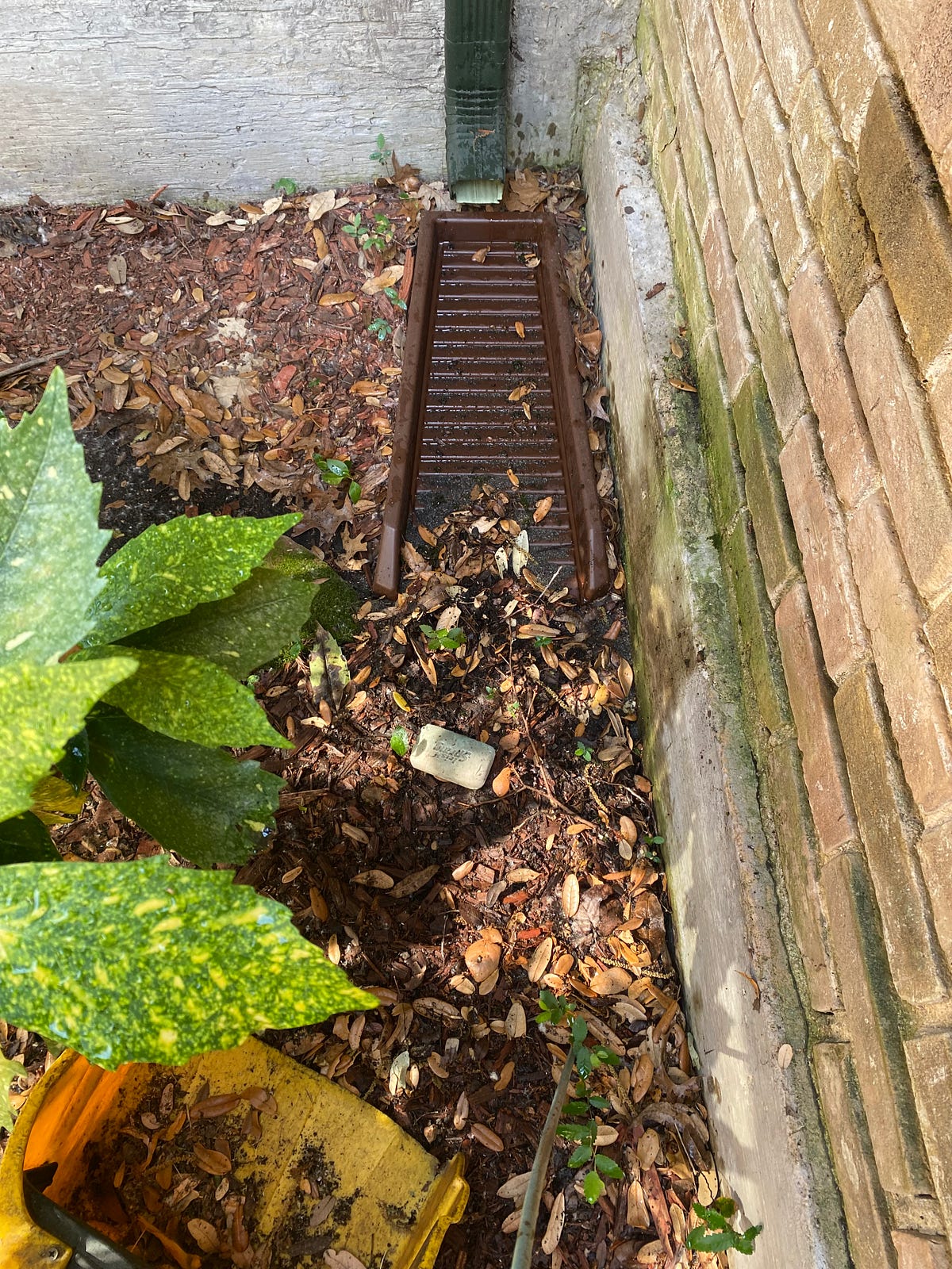 Gutter Cleaning Virginia Beach — Exactly How to Remove Rain Gutter Gunk