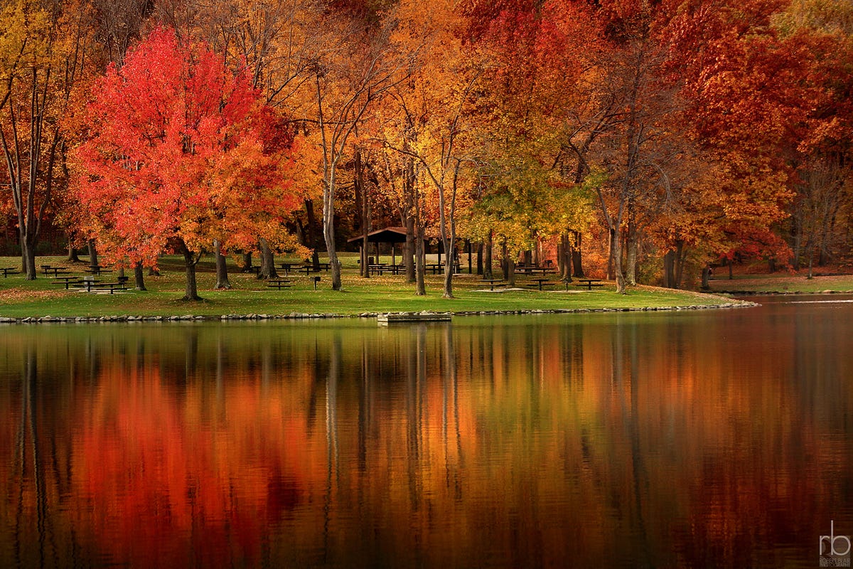 Pro tips How to finish the Fall Hiking Spree by Summit Metro Parks Medium