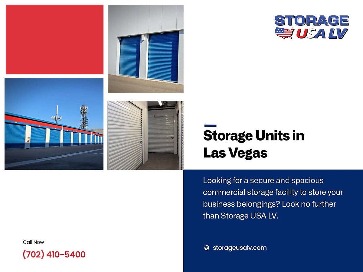 Best Storage Unit in Las Vegas Ragnar Lothbrok Medium