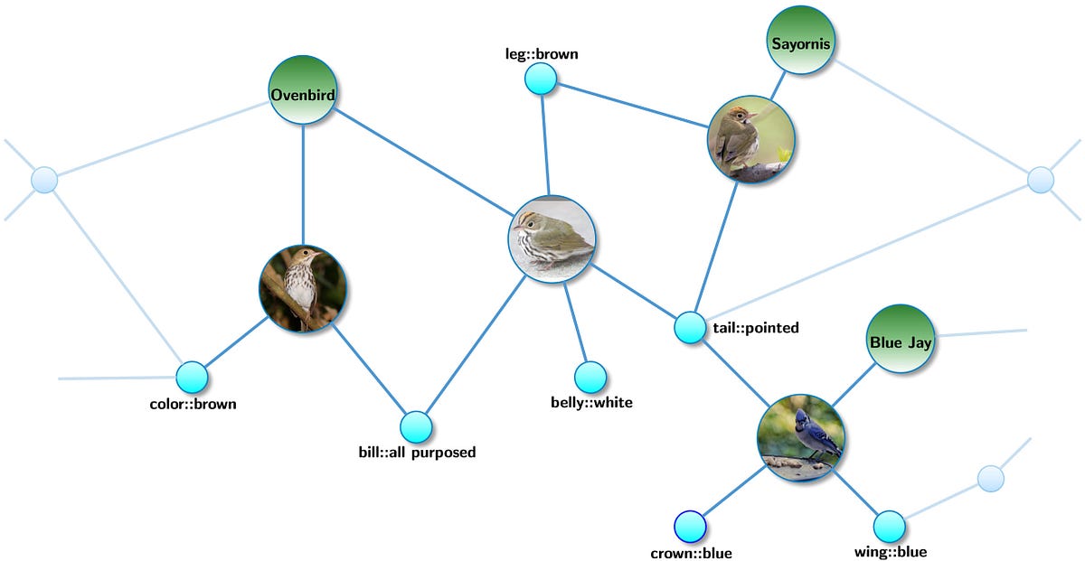 Review Paper: Knowledge graph-based image classification | by Mohammad ...