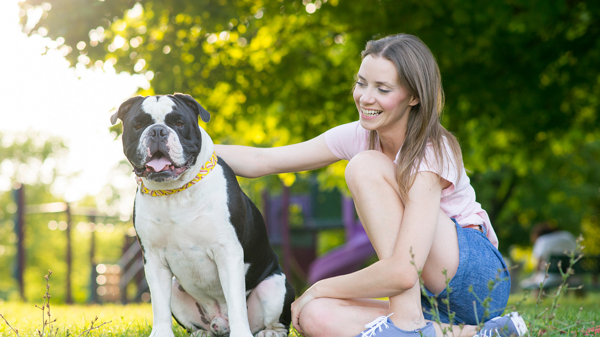 Why Does My Dog Sit Next to Me on the Toilet? 6 Reasons by Pet