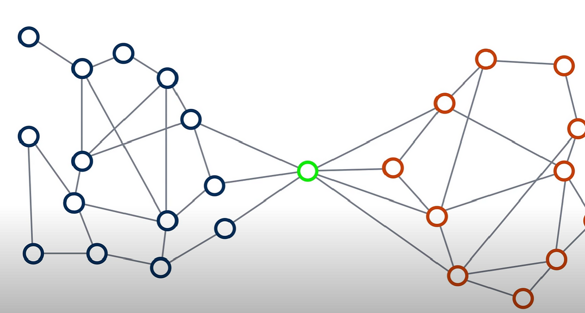 The Social Network Tapestry: Weaving Connections in Our Lives  by Christian Baghai  Mar, 2024 