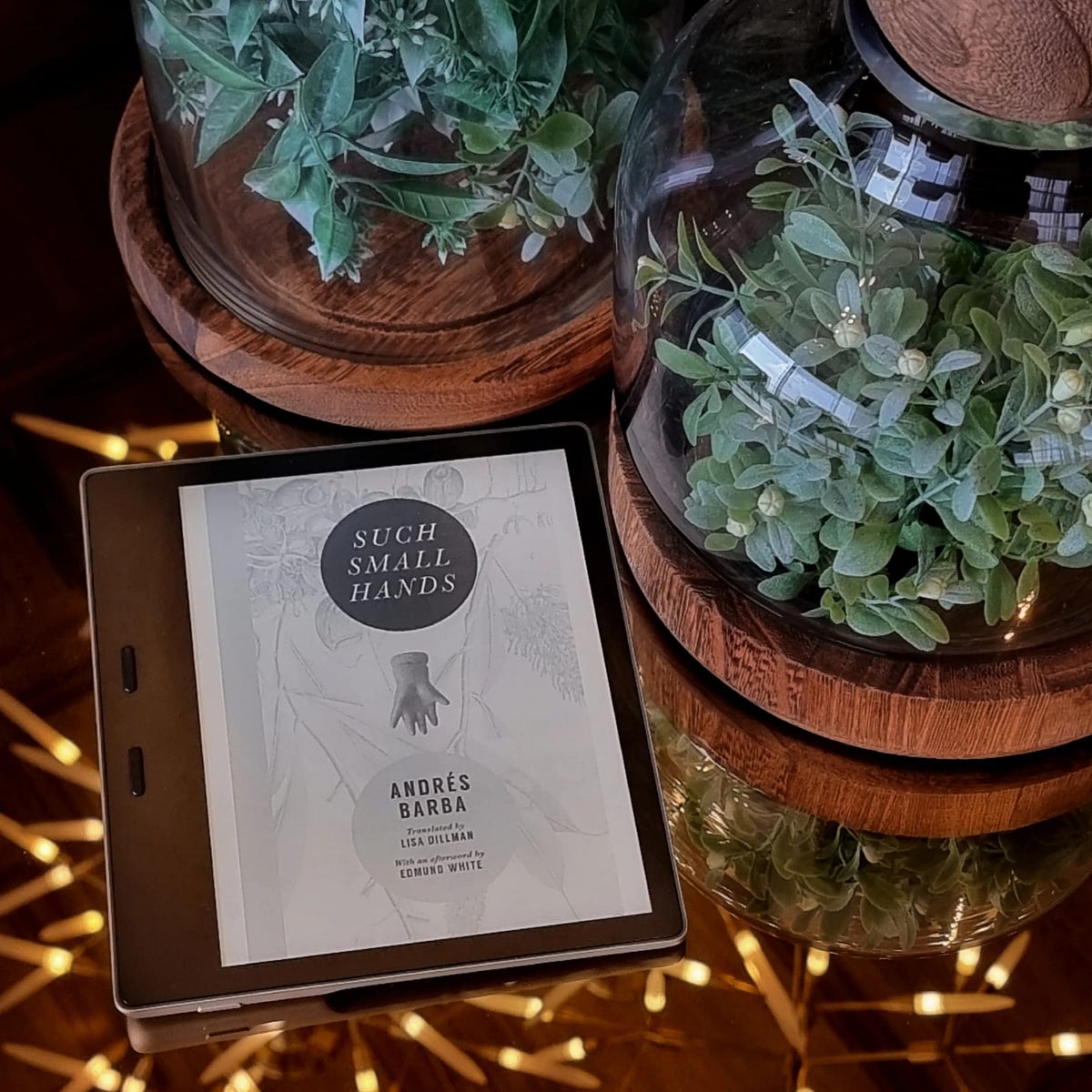 Such Small Hands. A Book Review by Sabreena El Siddique Medium