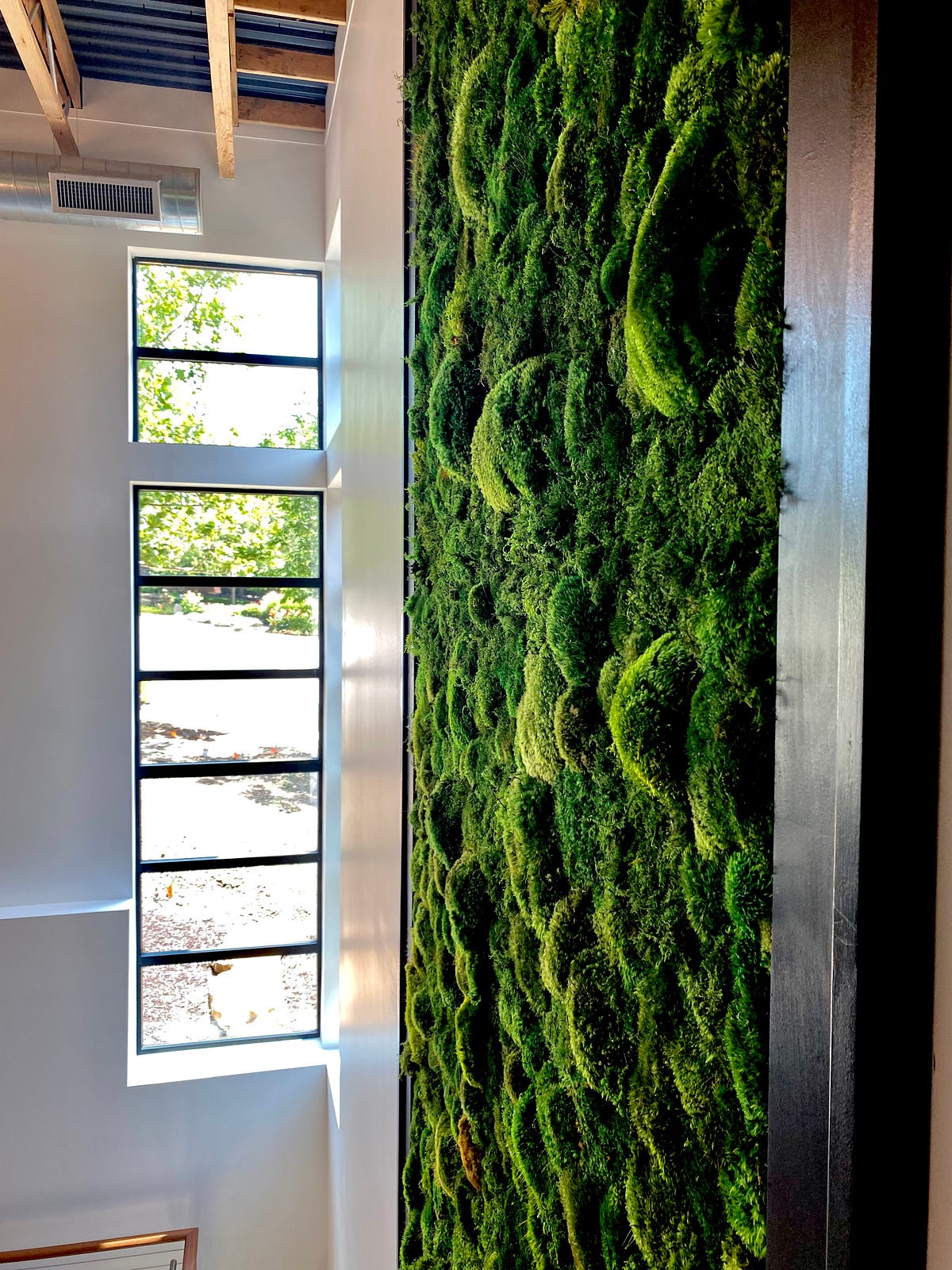 Moss Wall vs Living Wall Plant Decor – The Botanica House