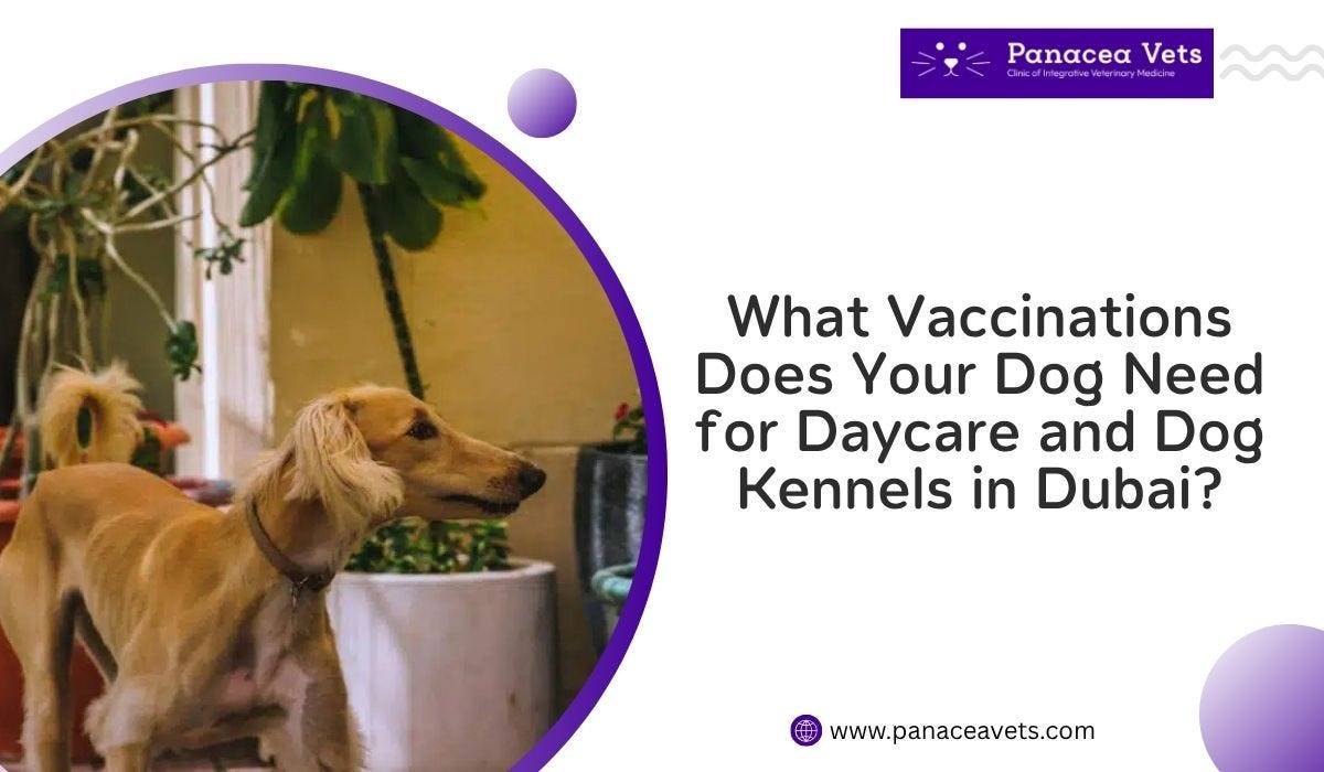 Essential Vaccinations for Dog Kennels in Dubai Explained
