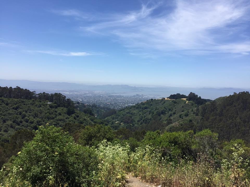 Image of: Eighteen Unique Places to Go in the Bay Area in 2018