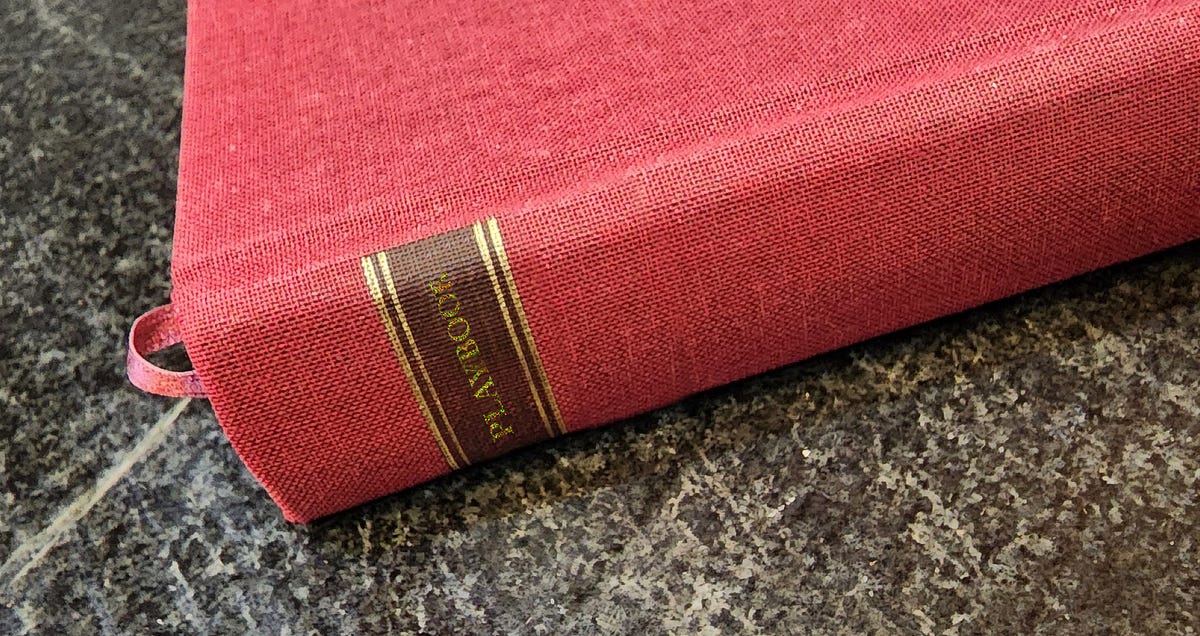 The Fascist Playbook, Chapter Five by Randy Fredlund ILLUMINATION
