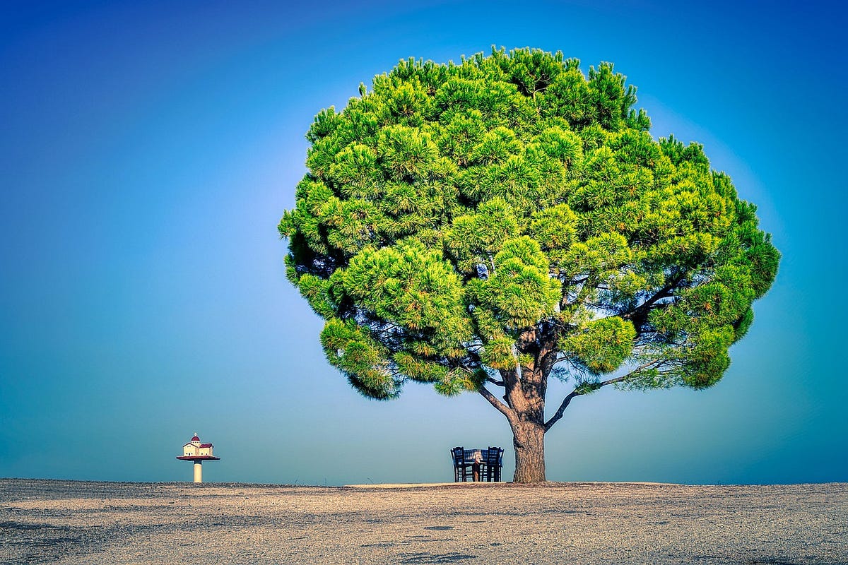 Tree Entity with JPA and spring-boot | by Asterios Raptis | Medium