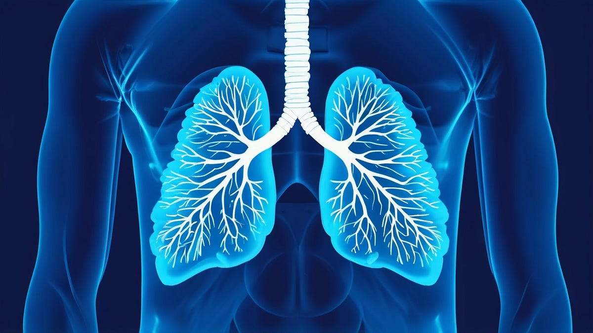 Breathe Better: Top Tips to Boost Your Lung Health | by Antonuos Zarey ...