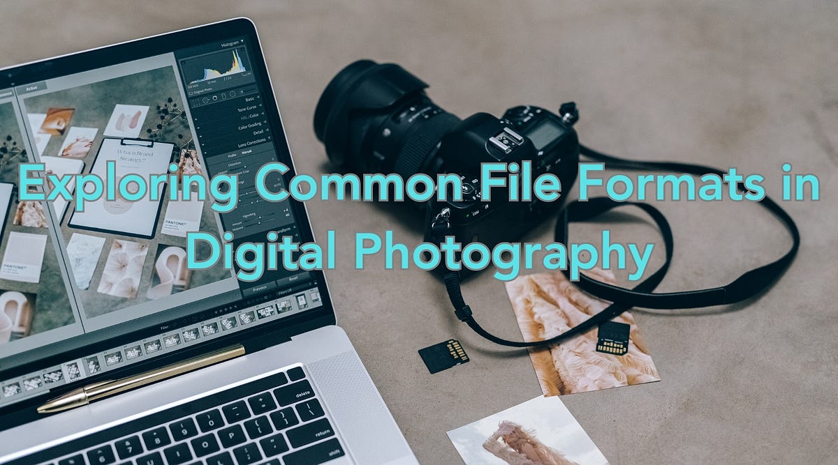 What are the different file formats commonly used in digital photography? |  by Demetrius Butler | Jan, 2024 | Medium