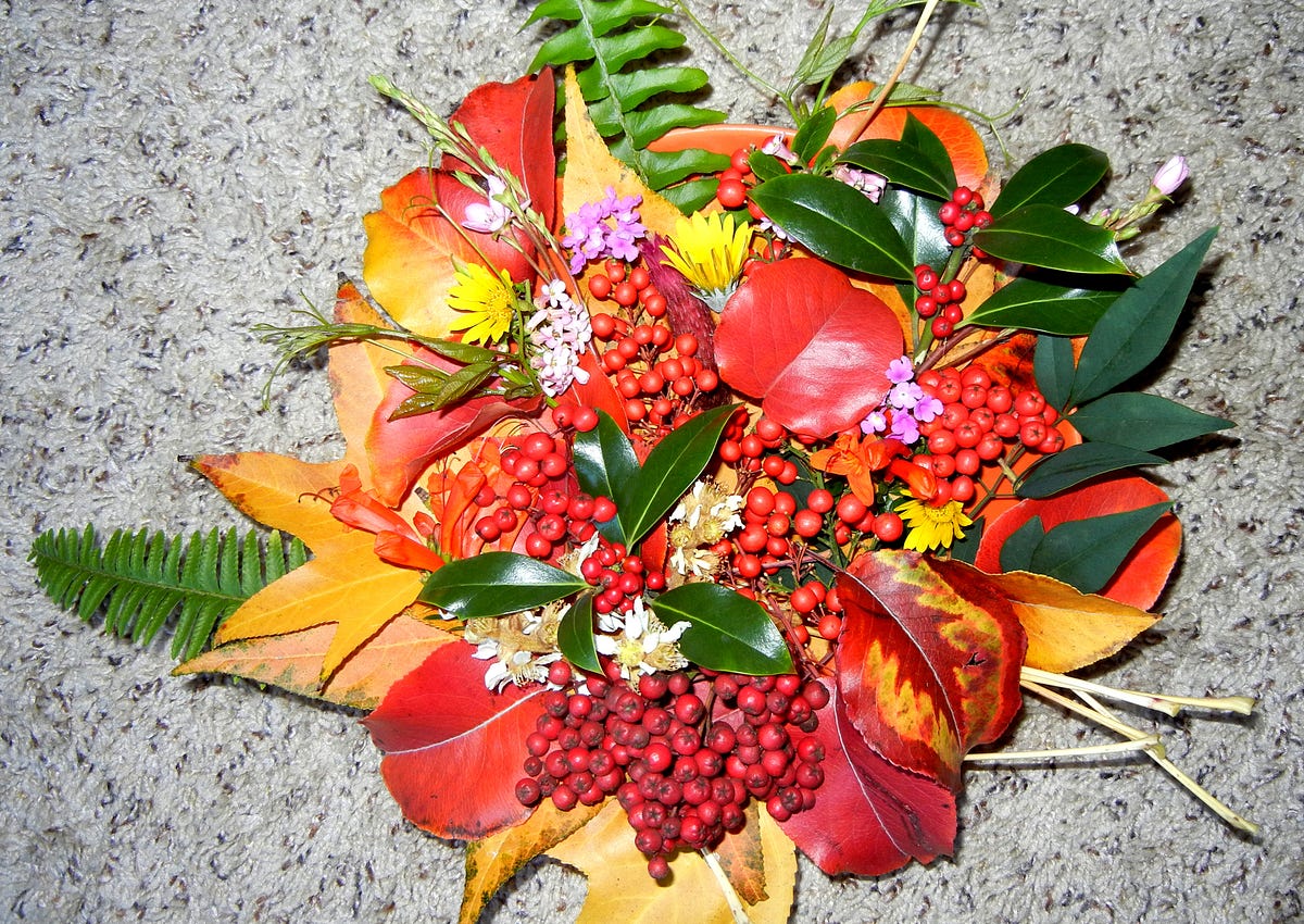 Creative Fun With Botanicals The DIY Diaries Medium creative-fun-with-botanicals-the-diy-diaries-medium