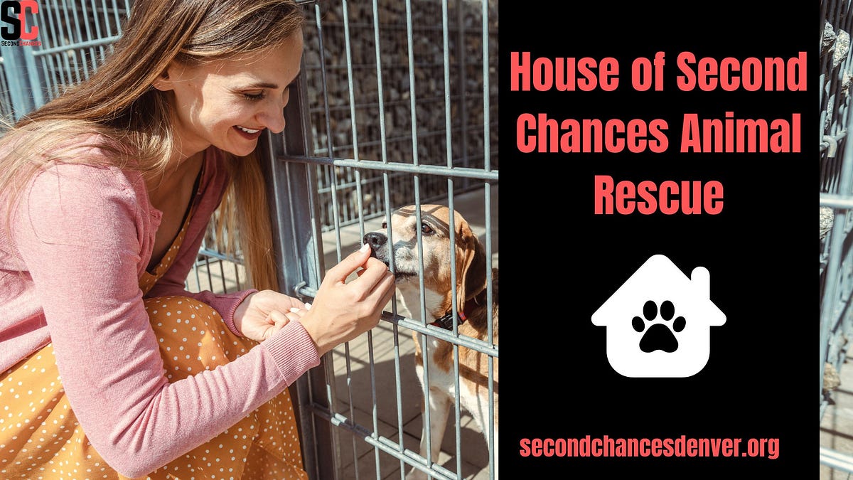 House of Second Chances Animal Rescue by Secondchancesdenver May