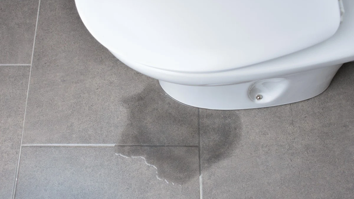 Troubleshooting and Fixing Toilet Leaks Between Tank and Bowl with