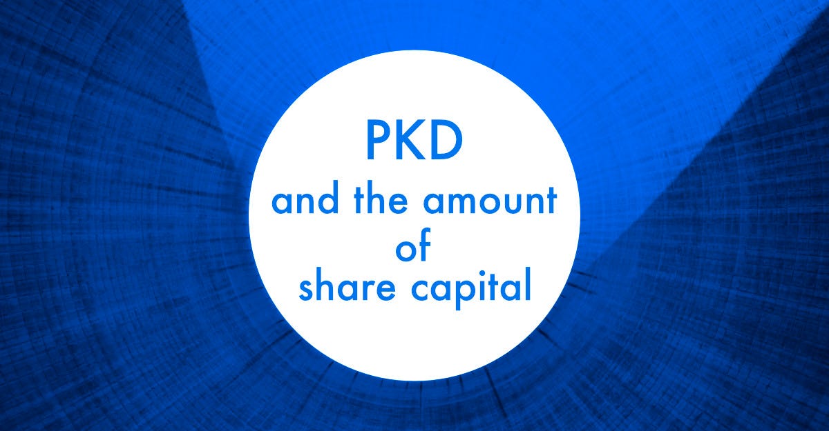 Company’s share capital and Polish PKD — which businesses in Poland bring the largest capital?