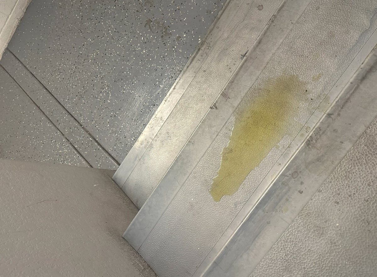 Urine Trouble Now Rent Increases Gain Inspiration