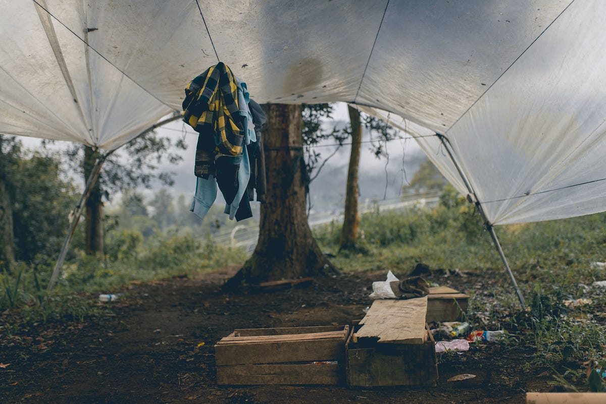 How to Use a Tarp as a Canopy. Using a tarp as a canopy is a simple