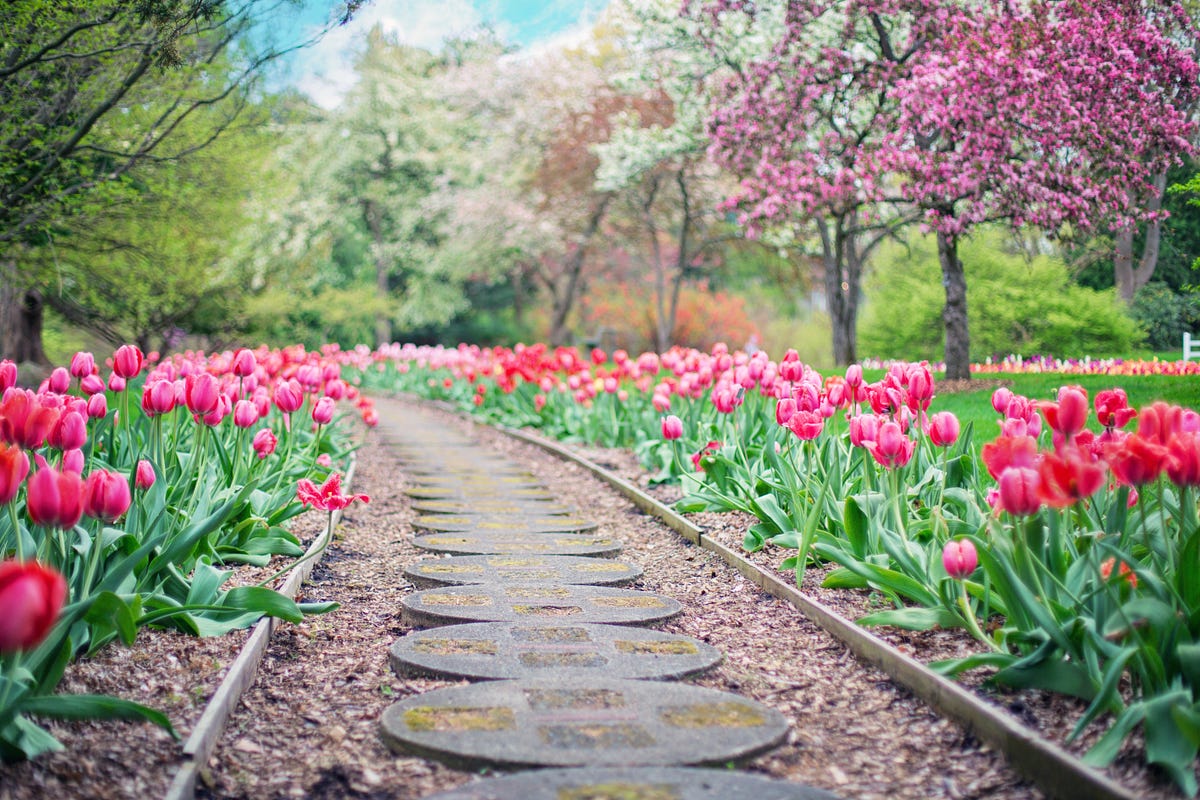 Developer Platform updates Spring 20'