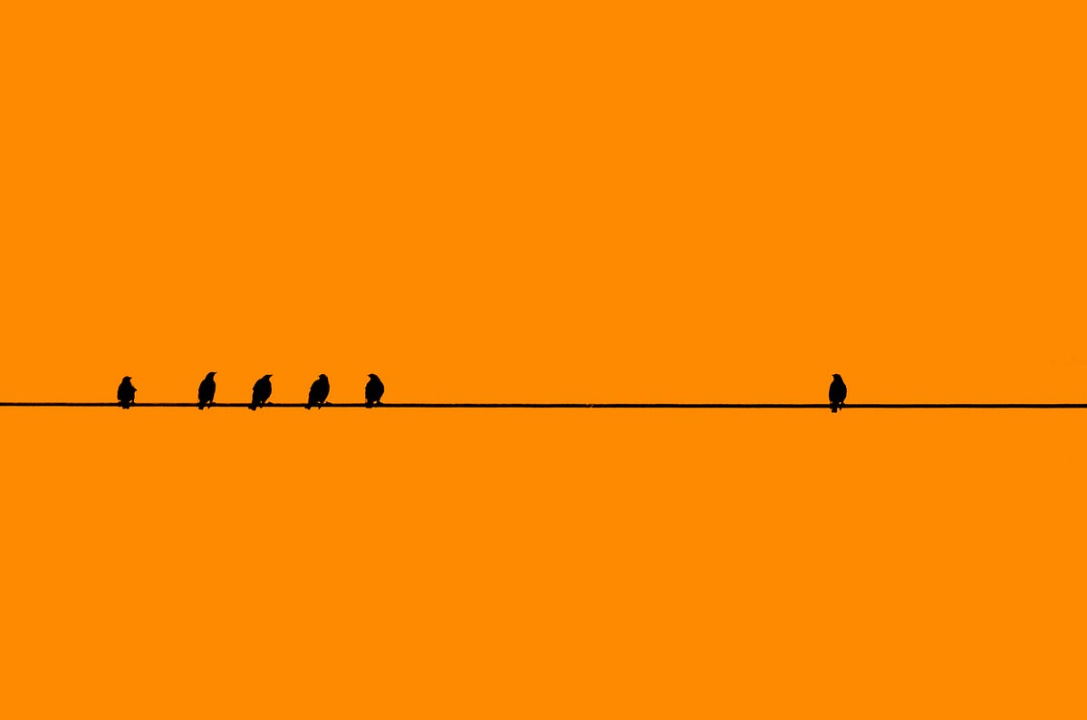 Why You Might Be Disconnected From People, Meaning & Purpose | by Ryan  Breen | Change Becomes You | Medium