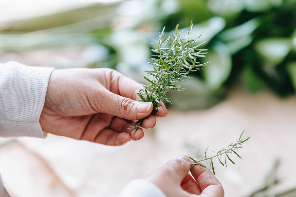 Grow Your Own: Parsley, Sage, Hydroponics, and Container Gardening | by ...