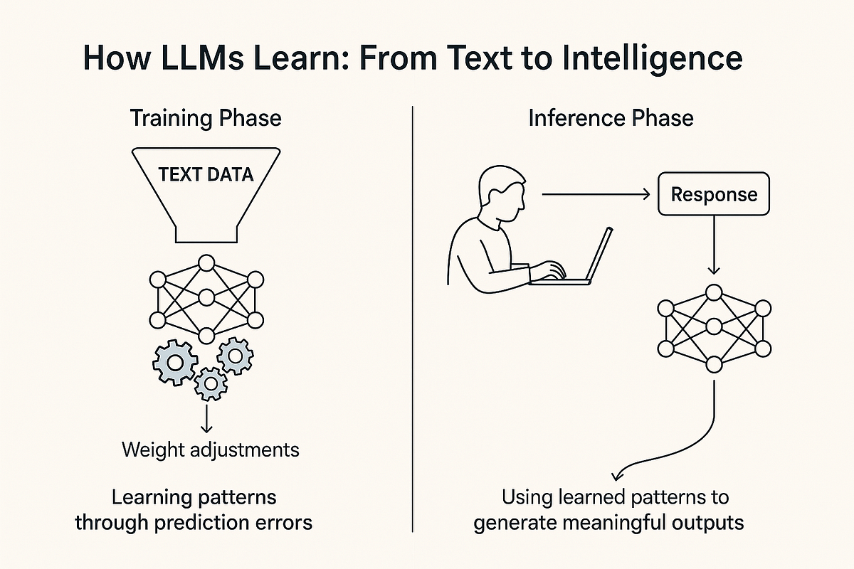 What the “Model” in LLM Really Means — Explained Simply