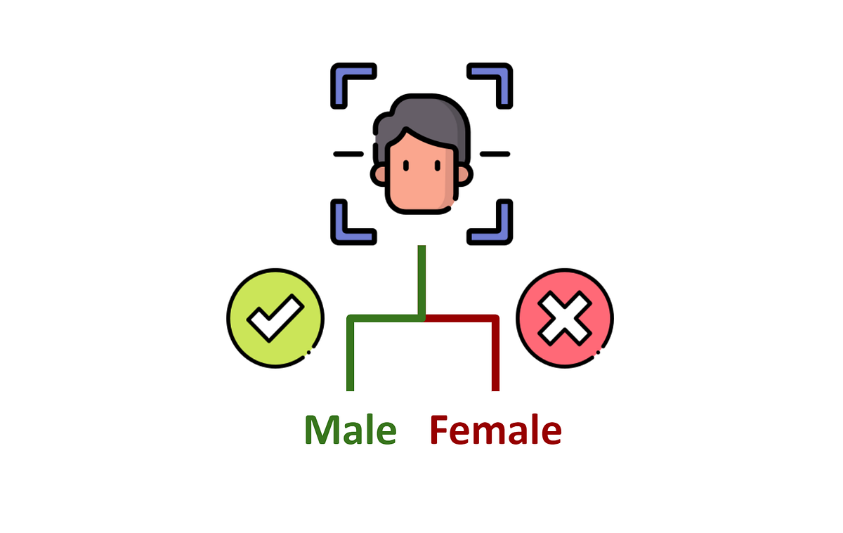 Gender Detection Model Using Cnn — A Complete Guide By Skillcate Ai