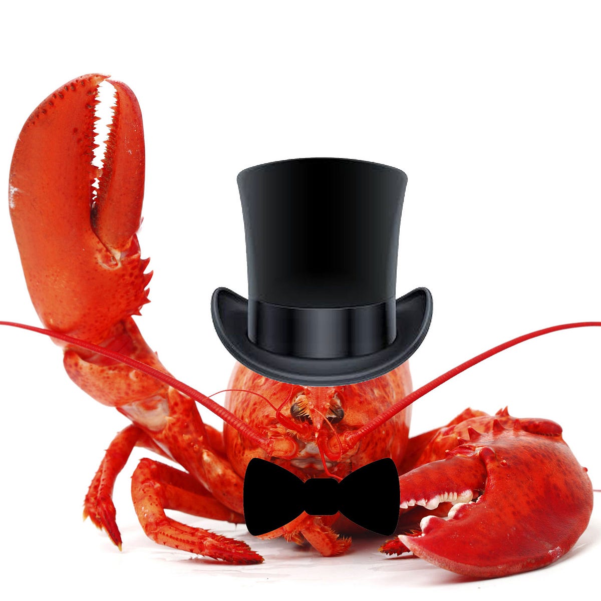 Sorry Cindy Adams from the New York Post | by Mark Murrell | Medium