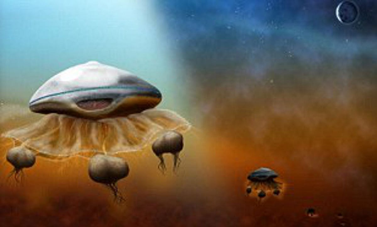 Are UFOs Living Creatures?