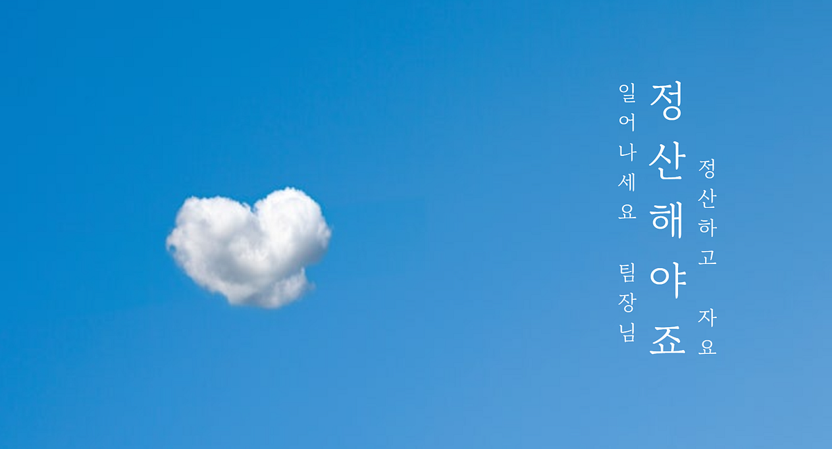 반려생활 정산 소요 시간 17.6배 단축하기 섬네일