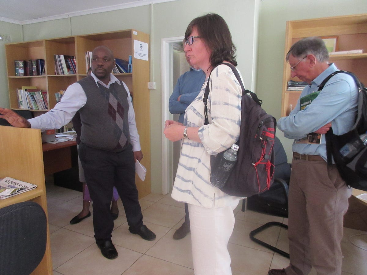 Commitment for Life in Zimbabwe: The bigger picture | by Christian Aid