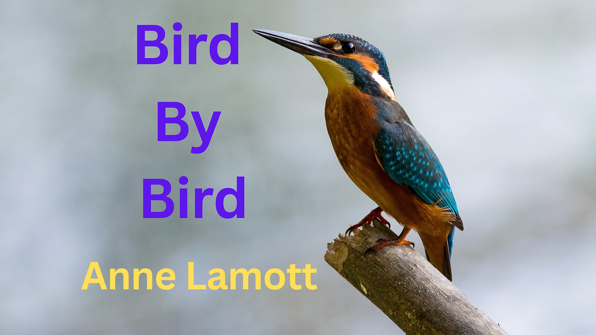 Bird By Bird by Anne Lamott (Summary) by Vismit Roy ( Self Help