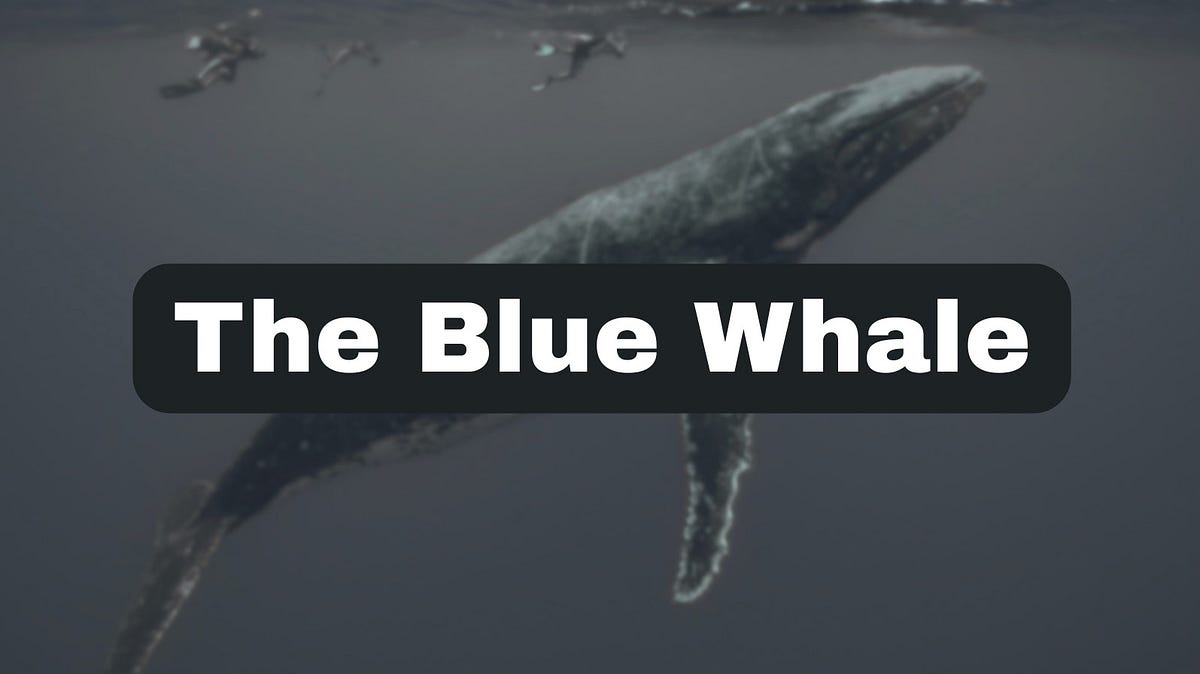 2年以上かけてバグバウンティフレームワークを構築しました from infosecwriteups.com