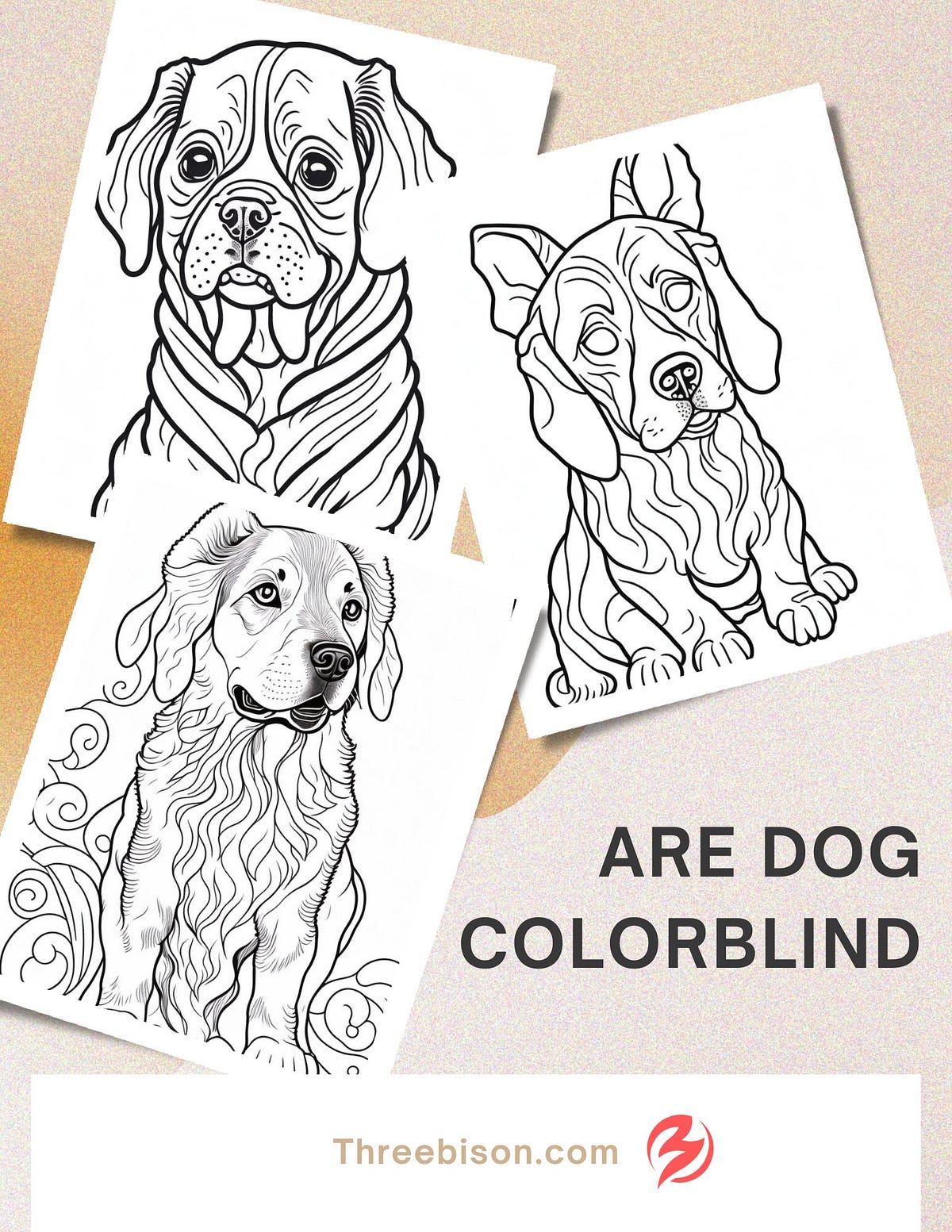 Are Dog Colorblind best 24 Animalsee Medium