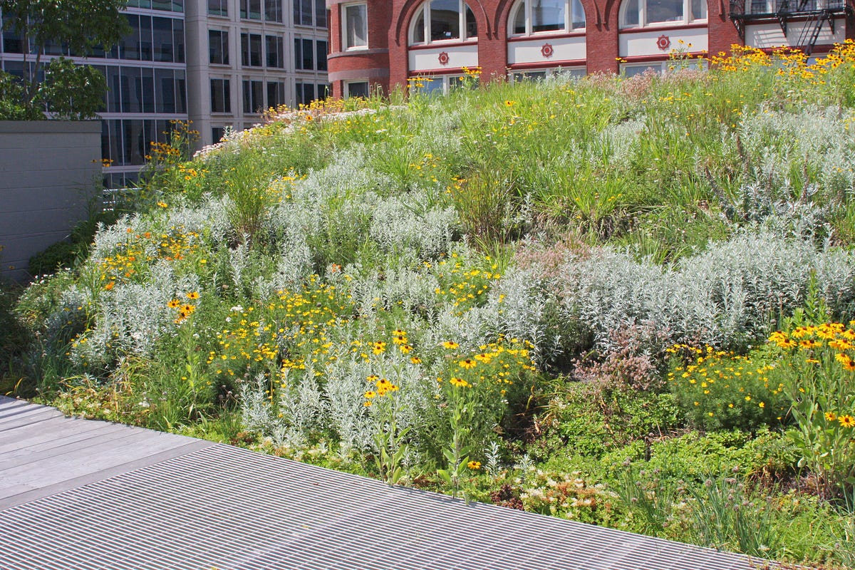 Planting in a Post Wild World. I’m currently enrolled in Julie Stevens ...