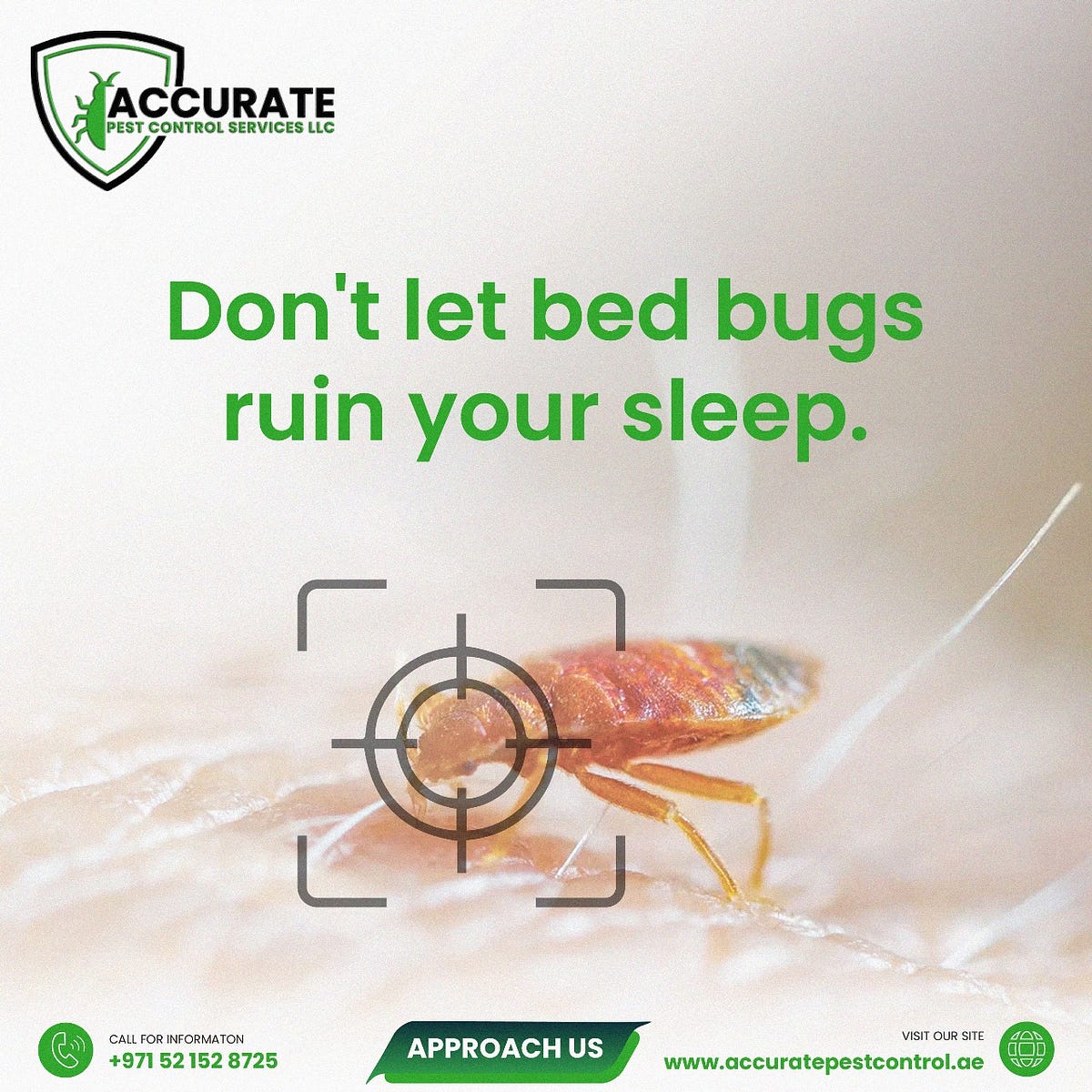 Bed Bug Control Dubai. 🌙 𝐒𝐚𝐲 𝐆𝐨𝐨𝐝𝐛𝐲𝐞 𝐭𝐨 𝐁𝐞𝐝… by Accurate Pest Control