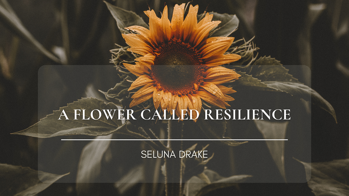 Poem A Flower Called Resilience. It is common knowledge that the… by