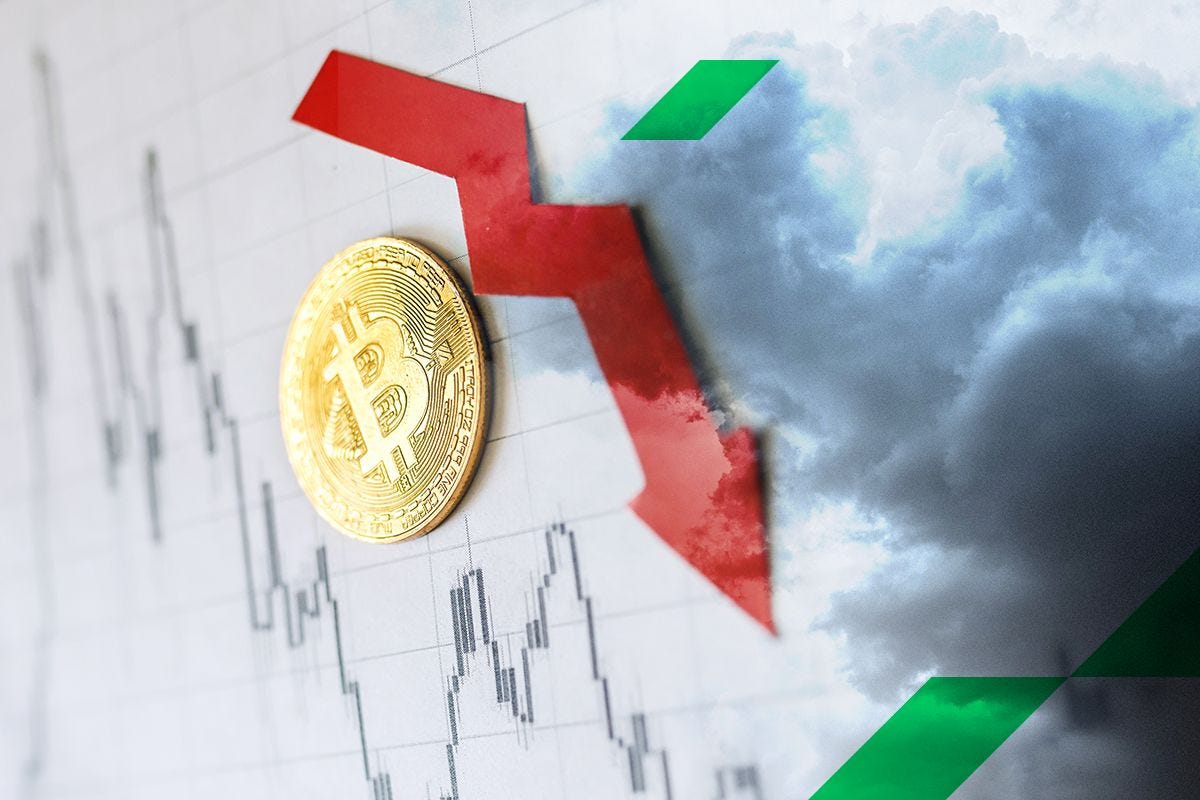 Bitcoin Cash (BCH) price prediction 2023–2030 | by NikitaN |  StormGain_crypto | Medium