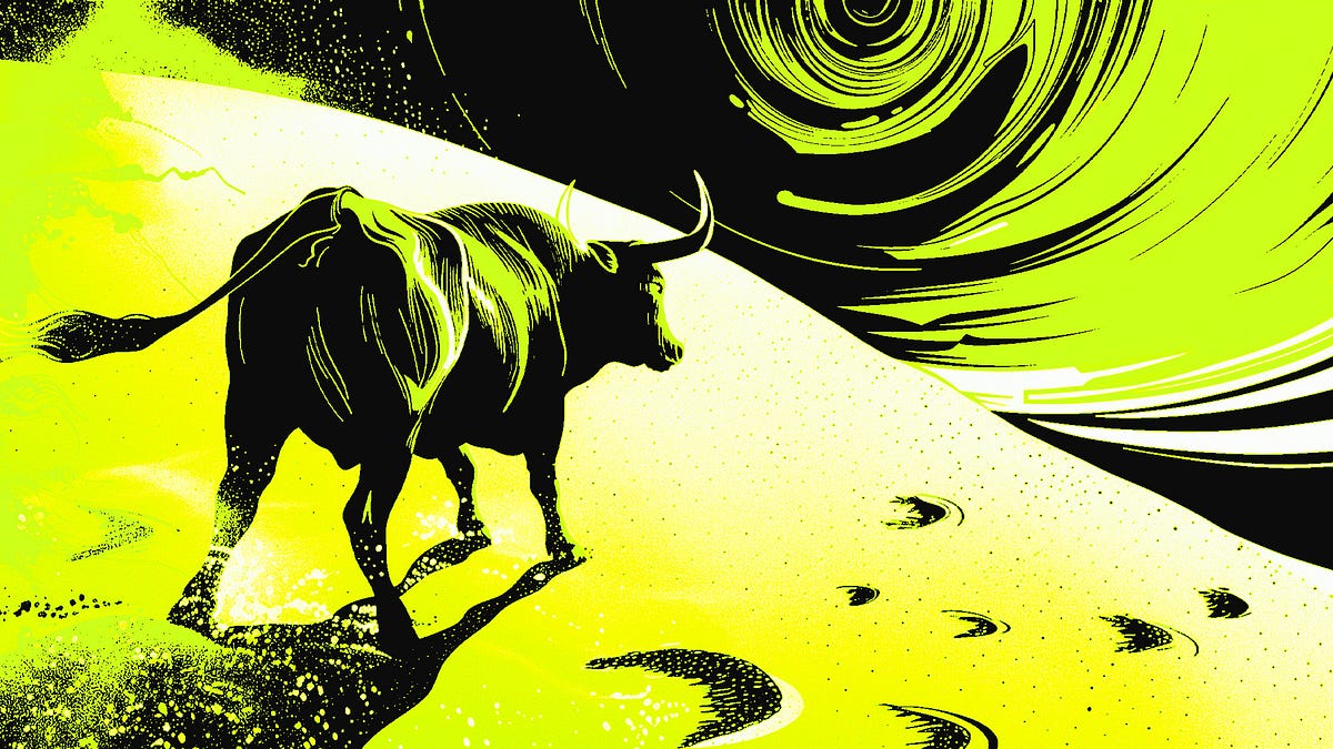 Bull Run or Bull Not? Signs, Predictions, and Opinions of the Bull