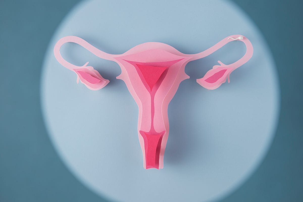 the-keys-to-preventing-uterine-cancer-by-plunes-healthcare-medium