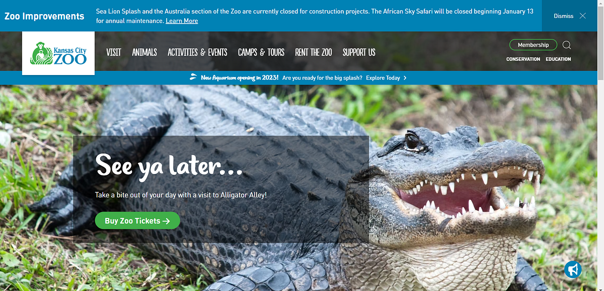 KC Zoo Media. This week I’ve done a lot of research… by Janae Masoner